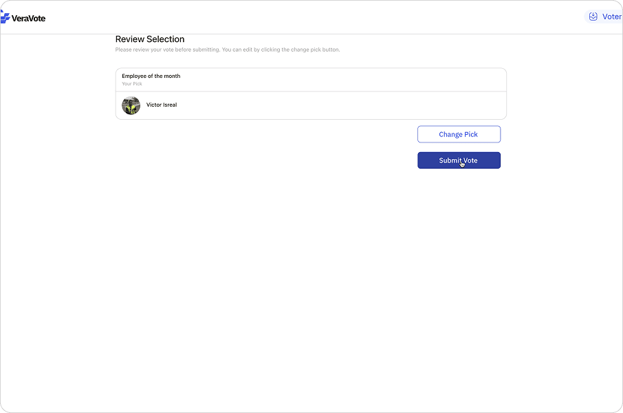 Ballot selection interface.