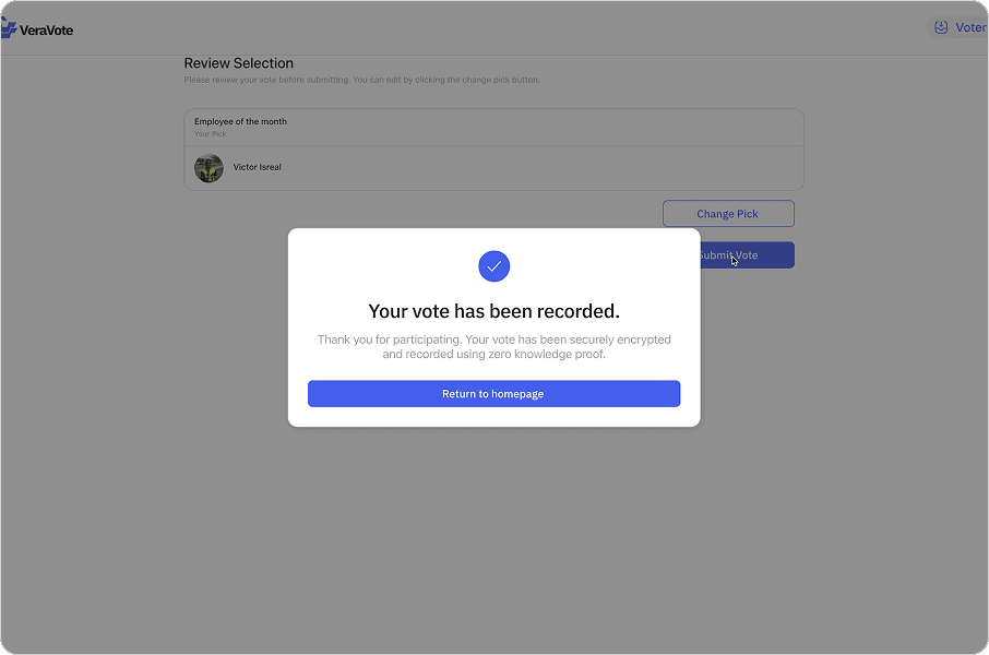 Ballot selection interface.